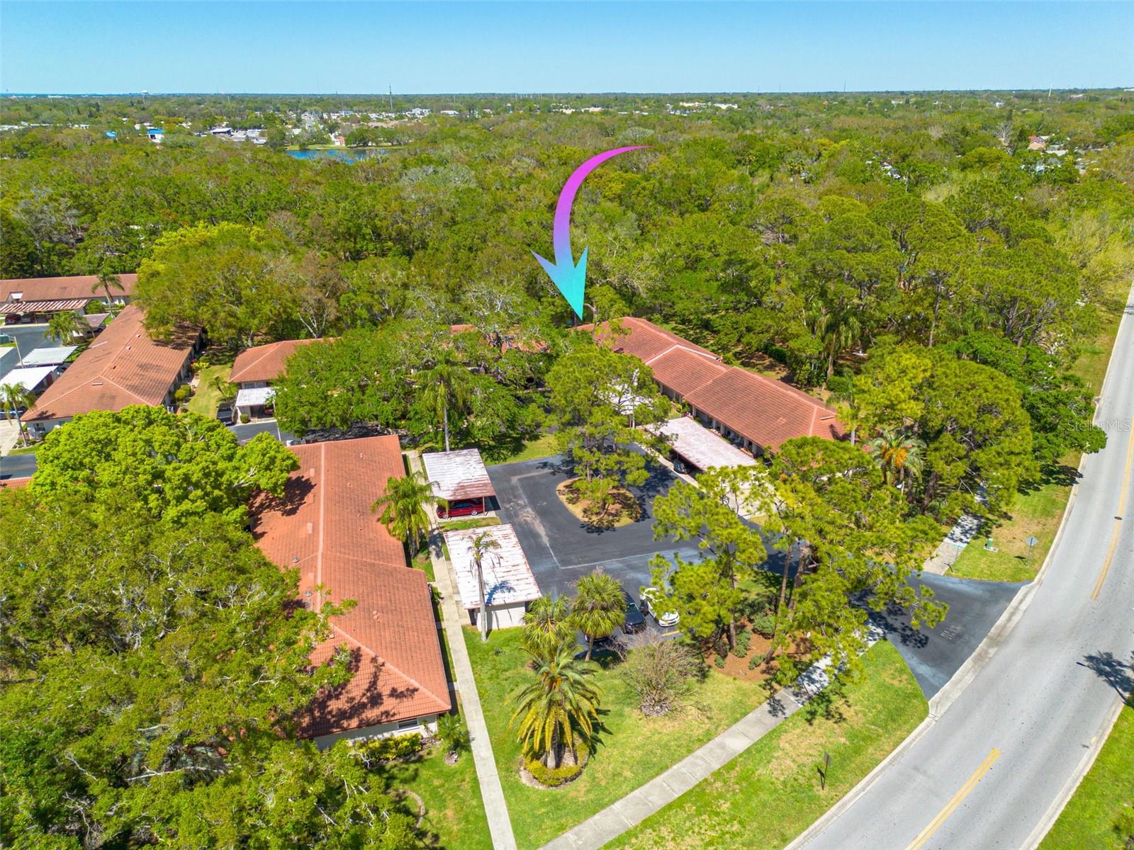 1201 MONTROSE PL, DUNEDIN, FL, 34698