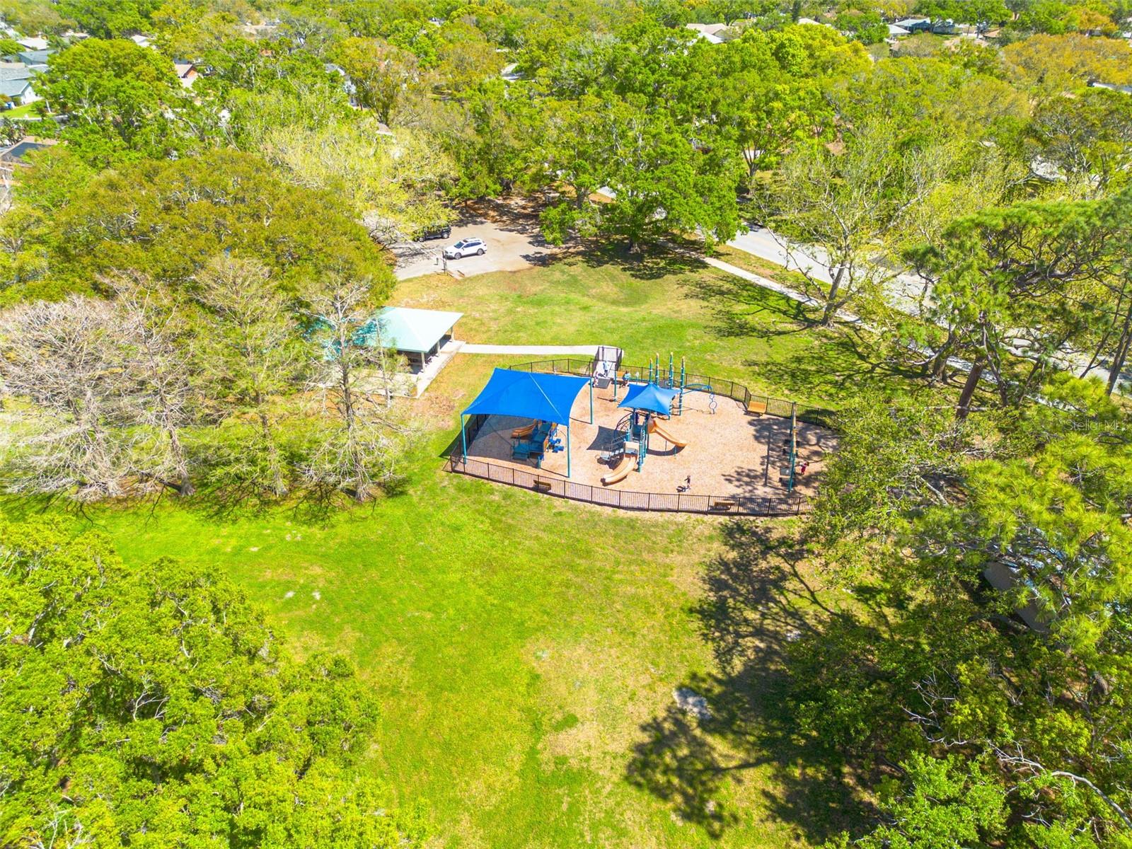 1201 MONTROSE PL, DUNEDIN, FL, 34698