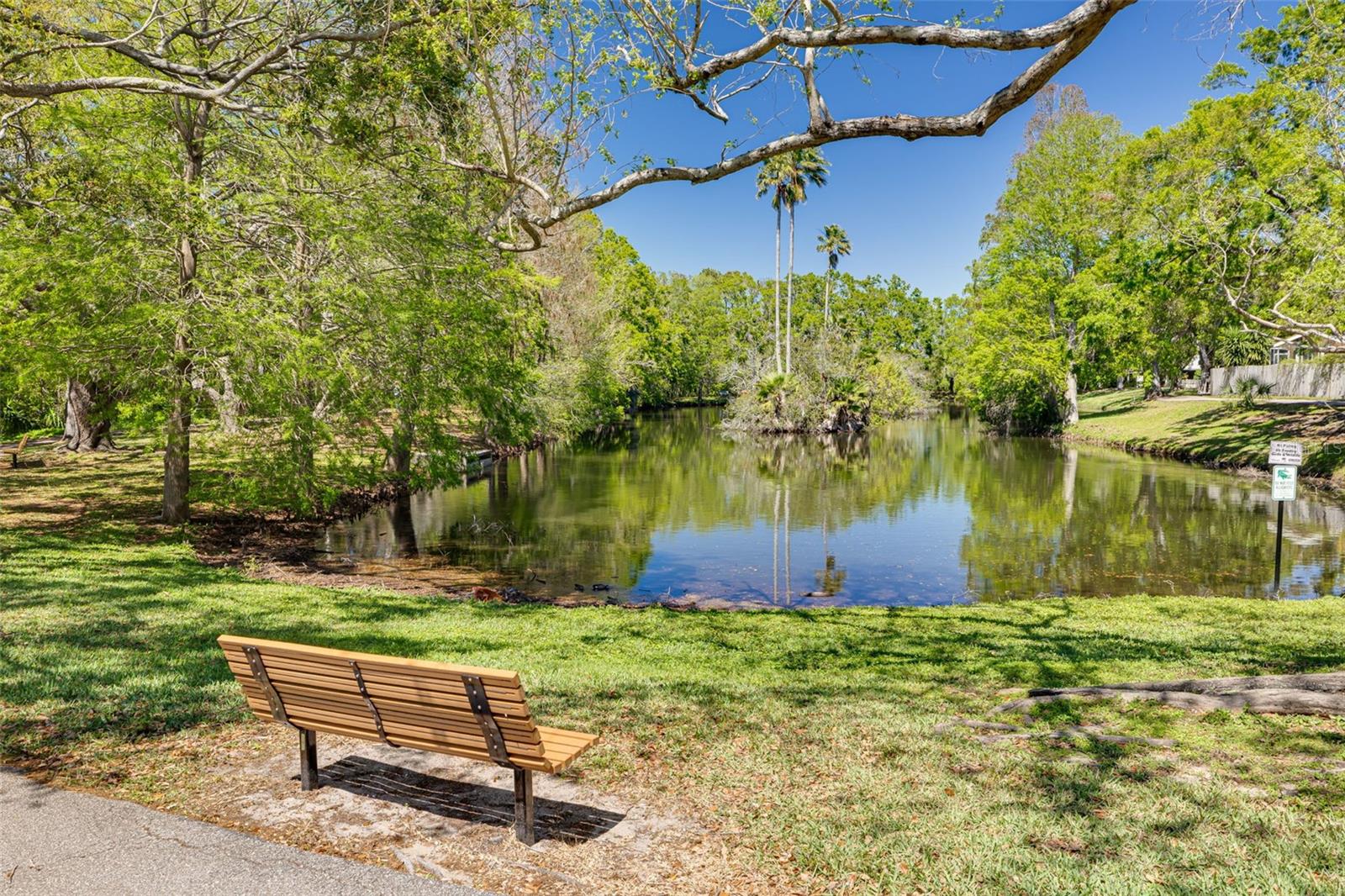 1201 MONTROSE PL, DUNEDIN, FL, 34698