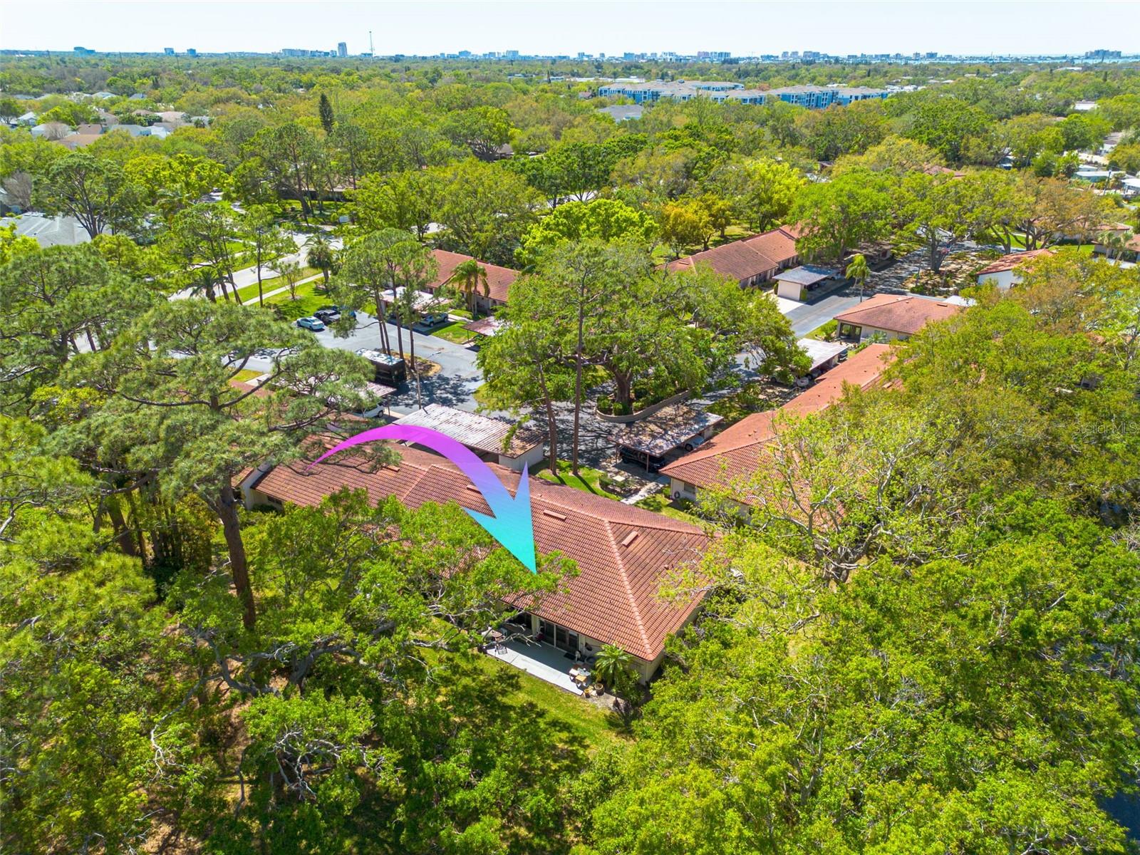 1201 MONTROSE PL, DUNEDIN, FL, 34698