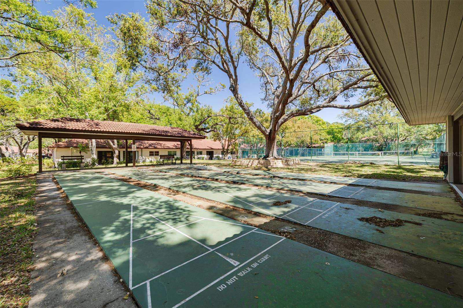 1201 MONTROSE PL, DUNEDIN, FL, 34698