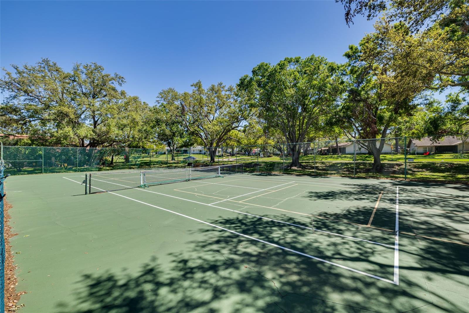 1201 MONTROSE PL, DUNEDIN, FL, 34698