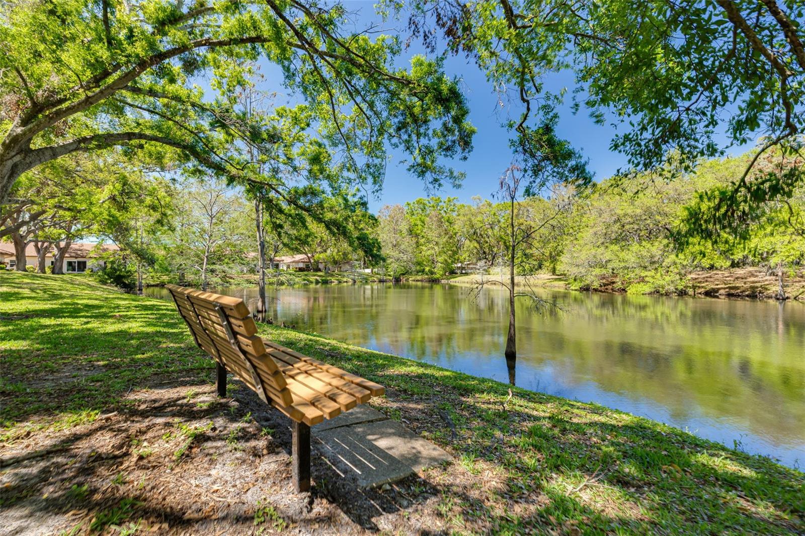 1201 MONTROSE PL, DUNEDIN, FL, 34698