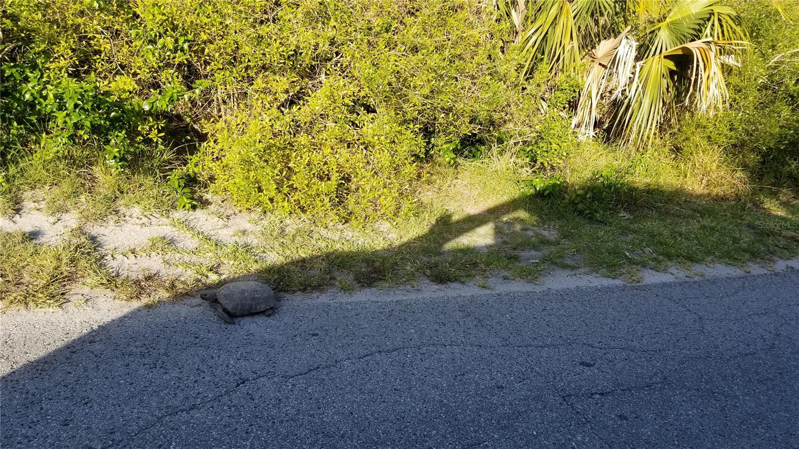 2047 INDIGO DR, CLEARWATER, FL, 33763