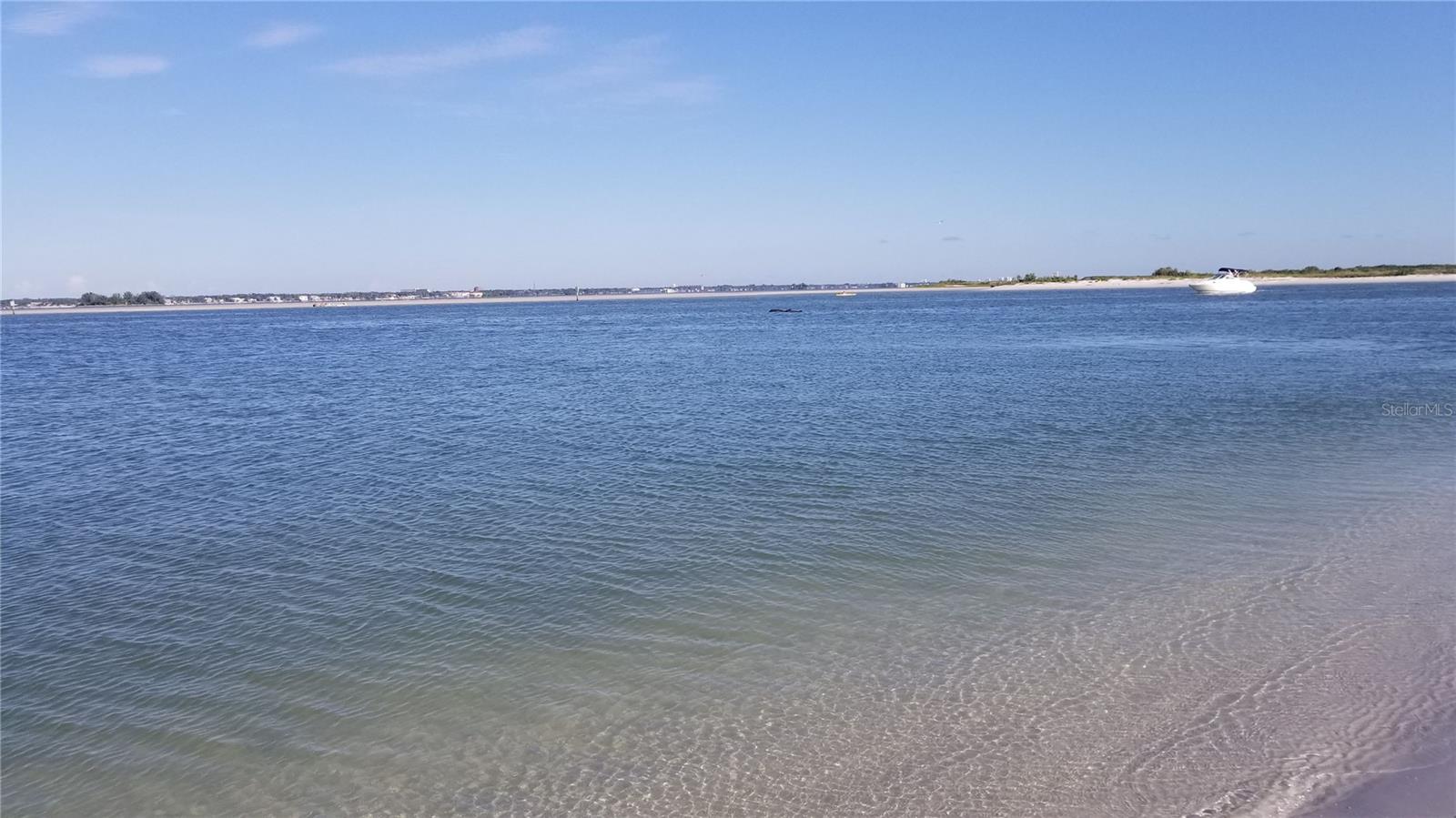 2047 INDIGO DR, CLEARWATER, FL, 33763