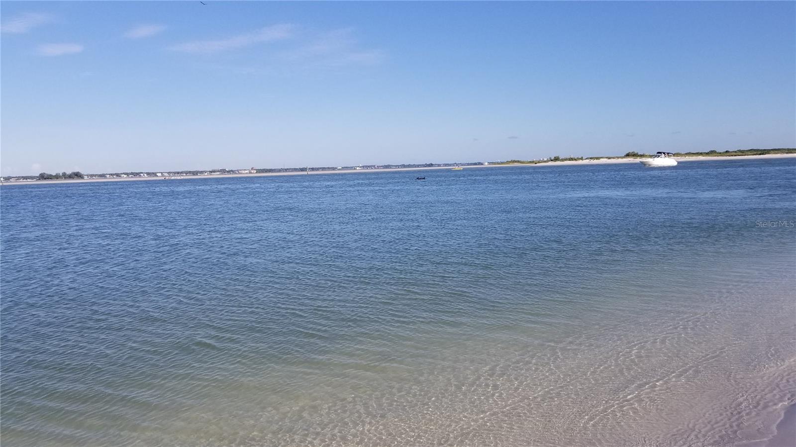 2047 INDIGO DR, CLEARWATER, FL, 33763