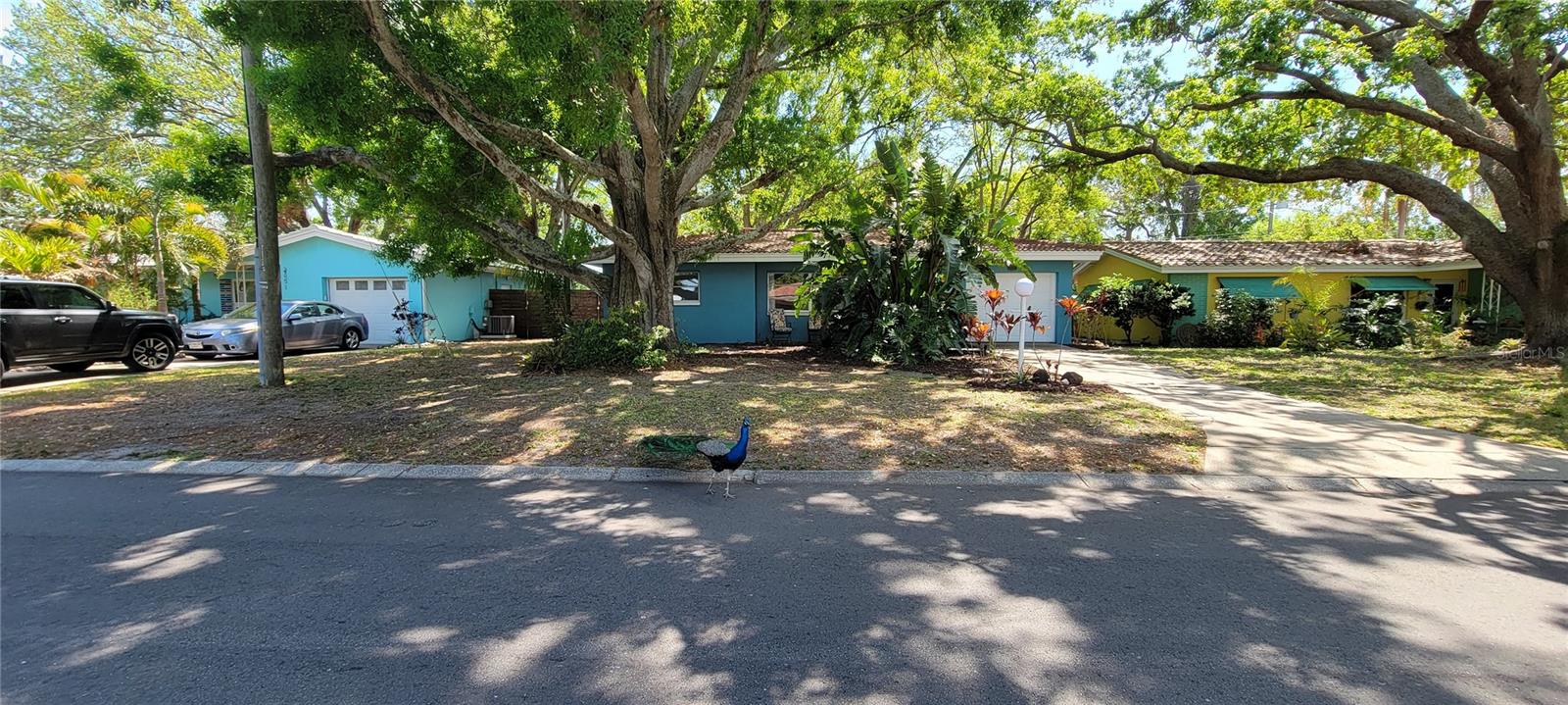 2047 INDIGO DR, CLEARWATER, FL, 33763