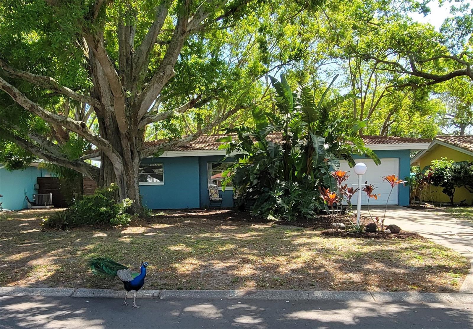 2047 INDIGO DR, CLEARWATER, FL, 33763
