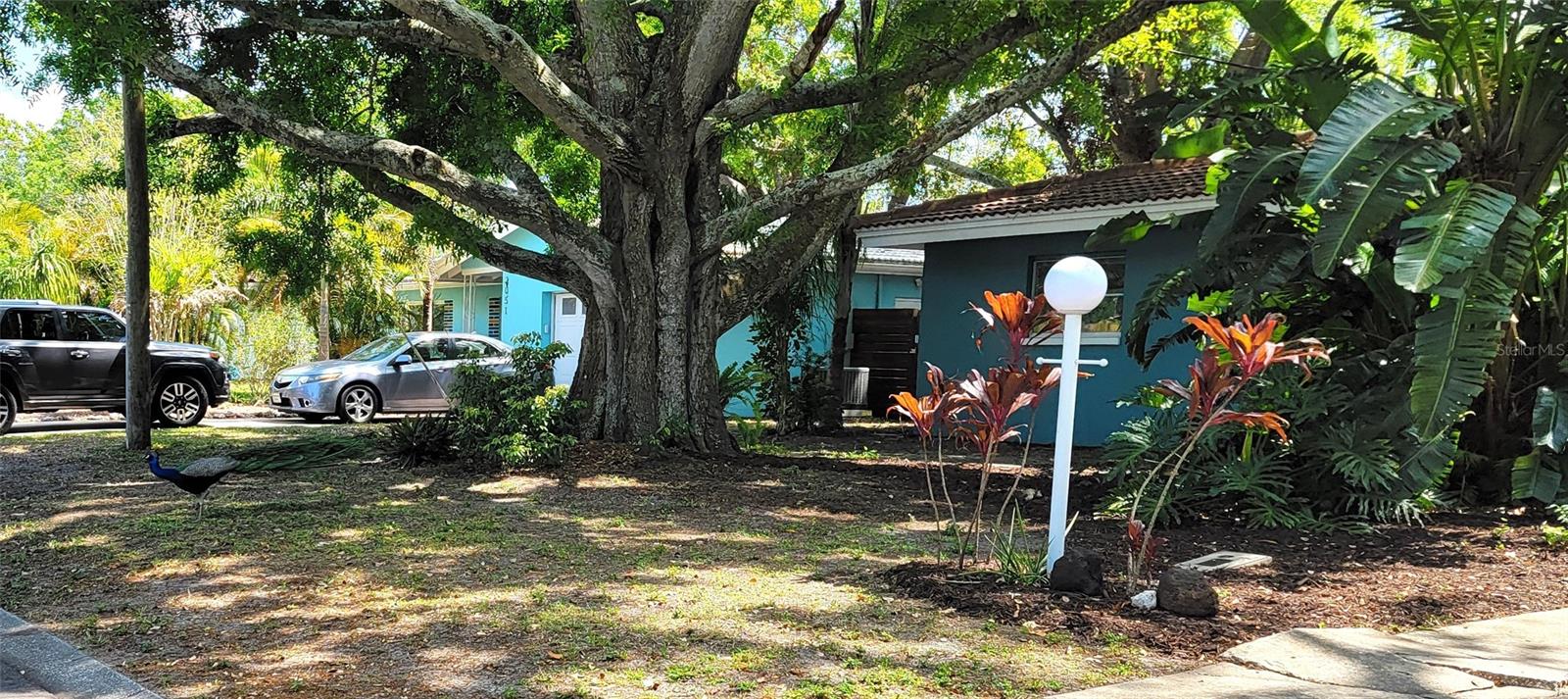 2047 INDIGO DR, CLEARWATER, FL, 33763