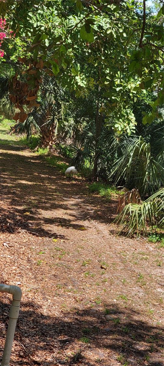 2047 INDIGO DR, CLEARWATER, FL, 33763