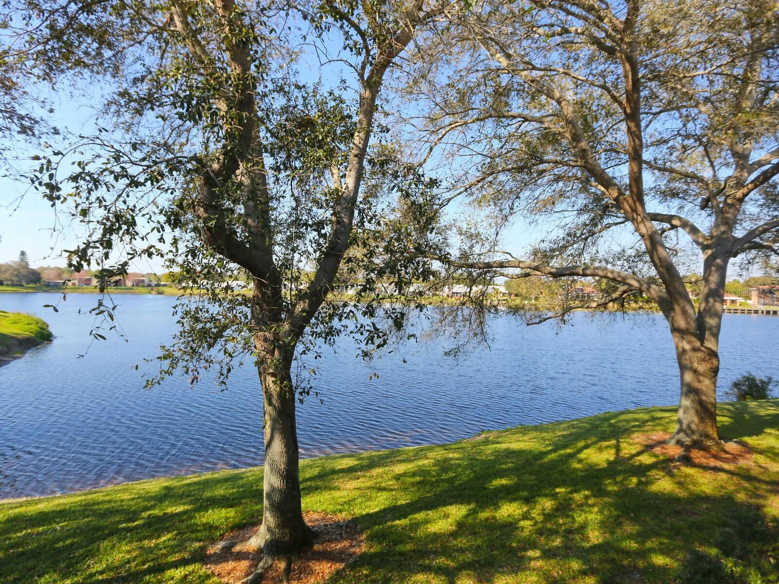 323 TIMBERLAKE DR #323, BRADENTON, FL, 34210
