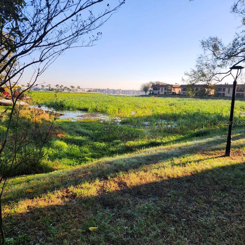 10216 SEMINOLE ISLAND DR, LARGO, FL, 33773