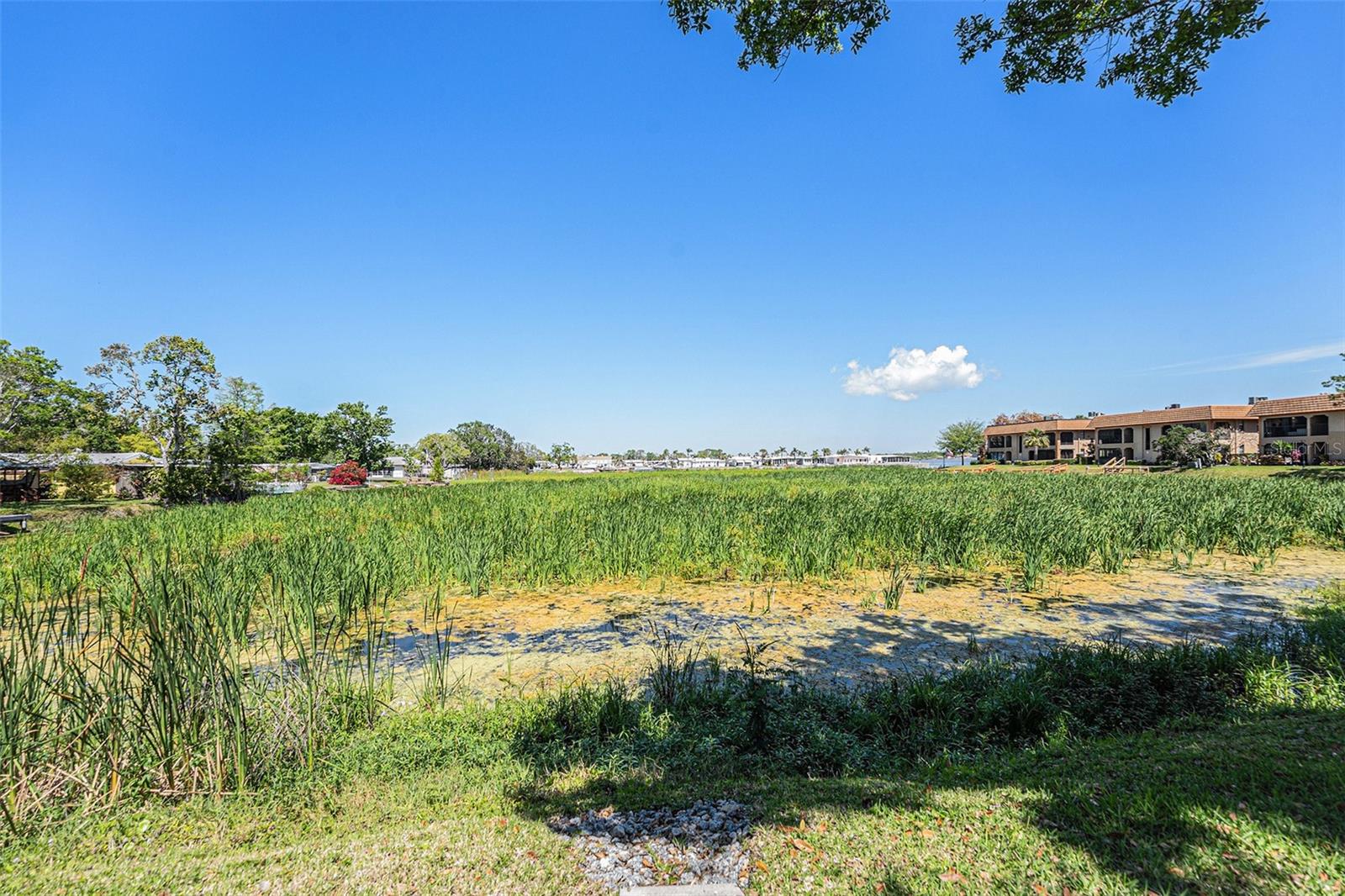 10216 SEMINOLE ISLAND DR, LARGO, FL, 33773