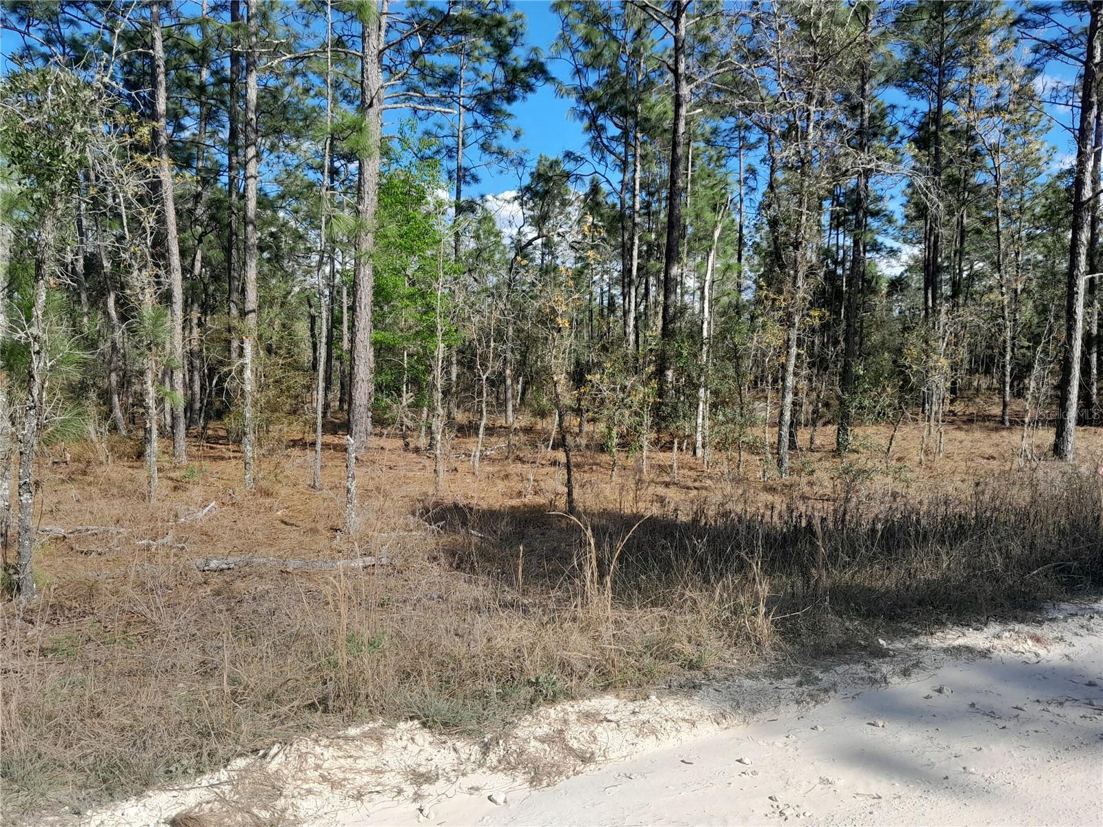 tbd NE 150TH AVE, WILLISTON, FL, 32696