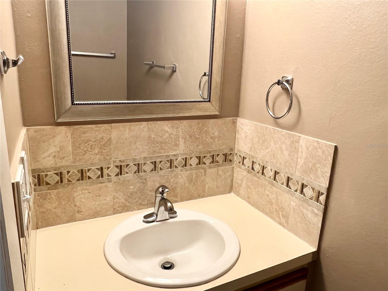 8117 SHELDON SHORES DR, TAMPA, FL, 33615