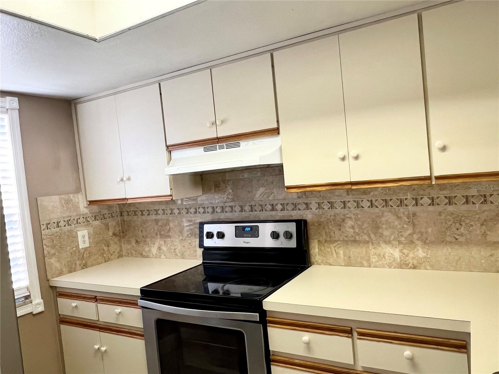 8117 SHELDON SHORES DR, TAMPA, FL, 33615