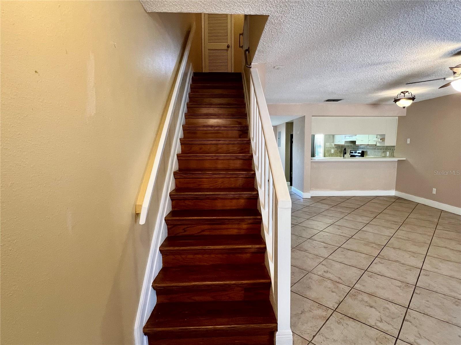 8117 SHELDON SHORES DR, TAMPA, FL, 33615