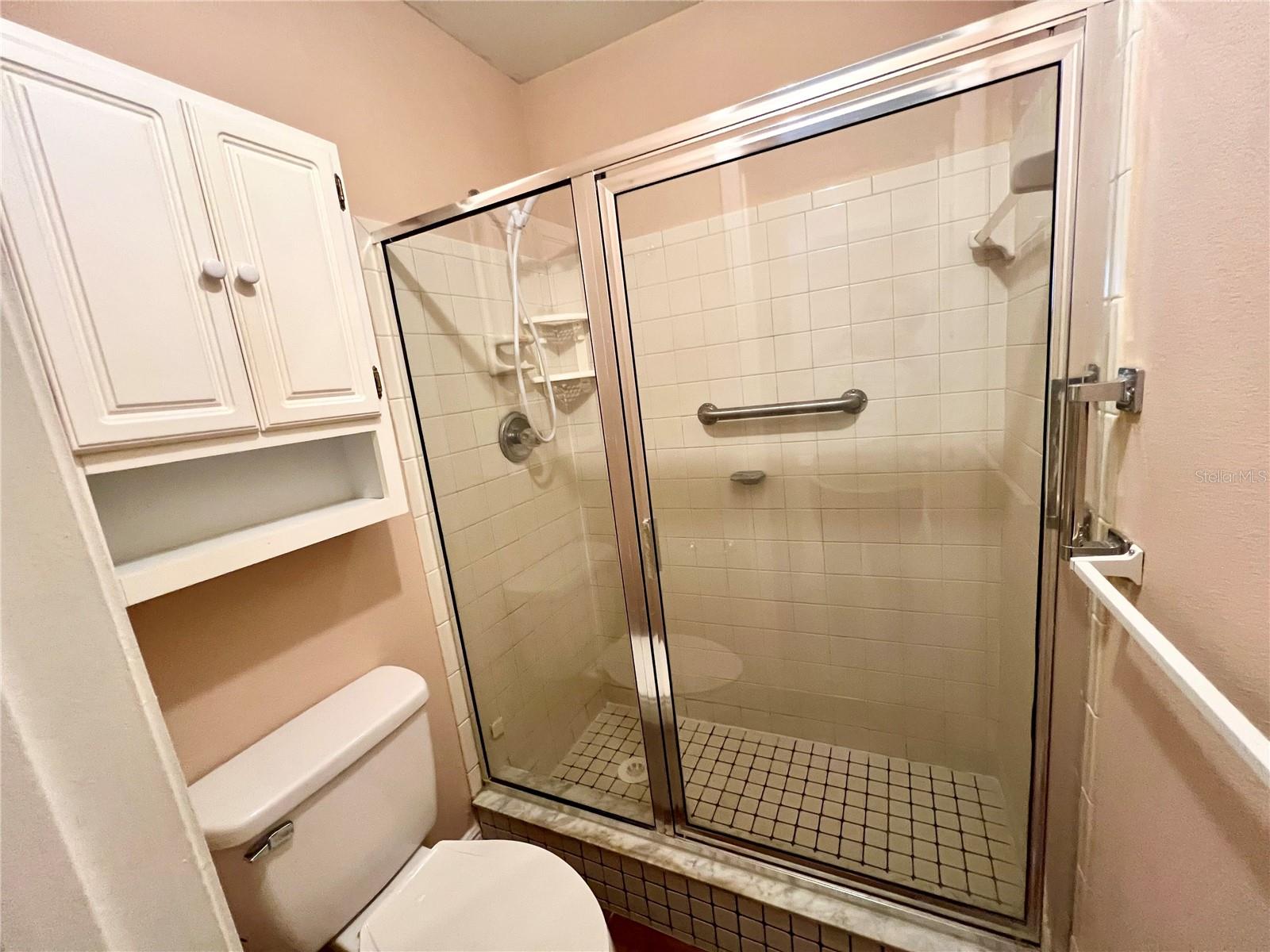 8117 SHELDON SHORES DR, TAMPA, FL, 33615