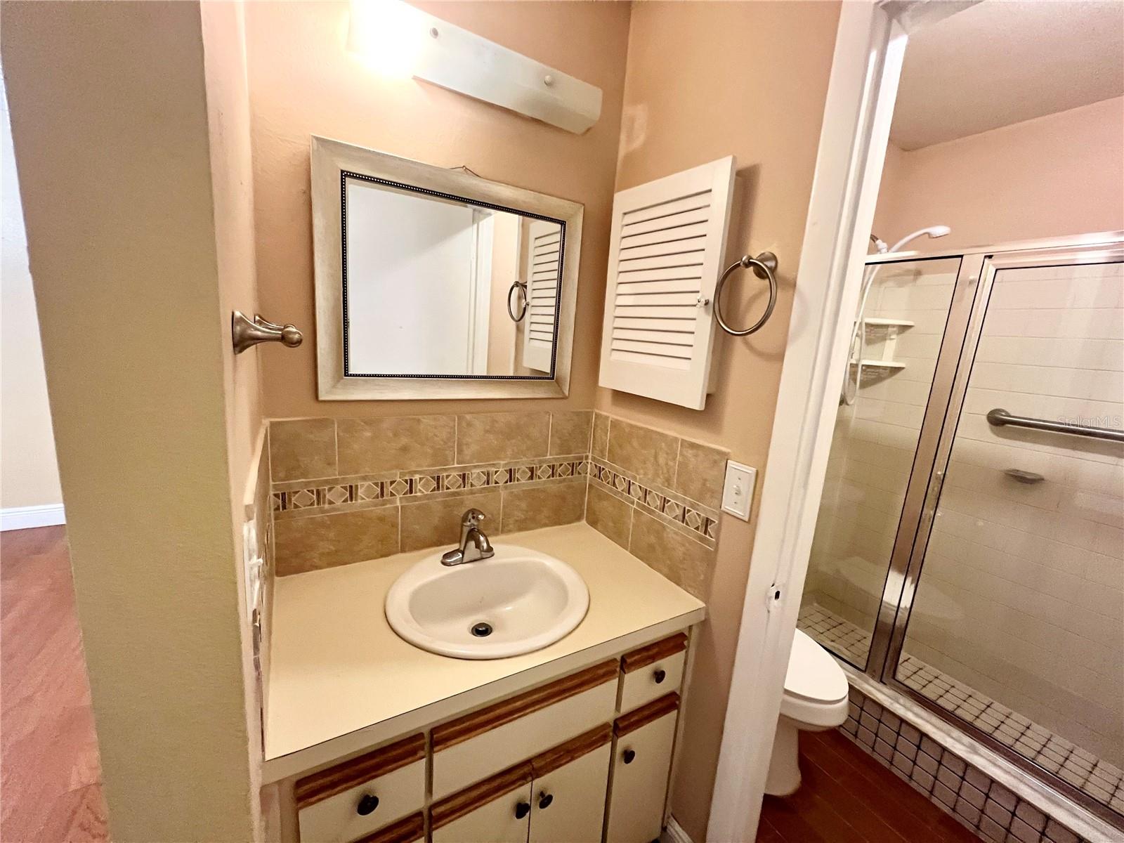 8117 SHELDON SHORES DR, TAMPA, FL, 33615