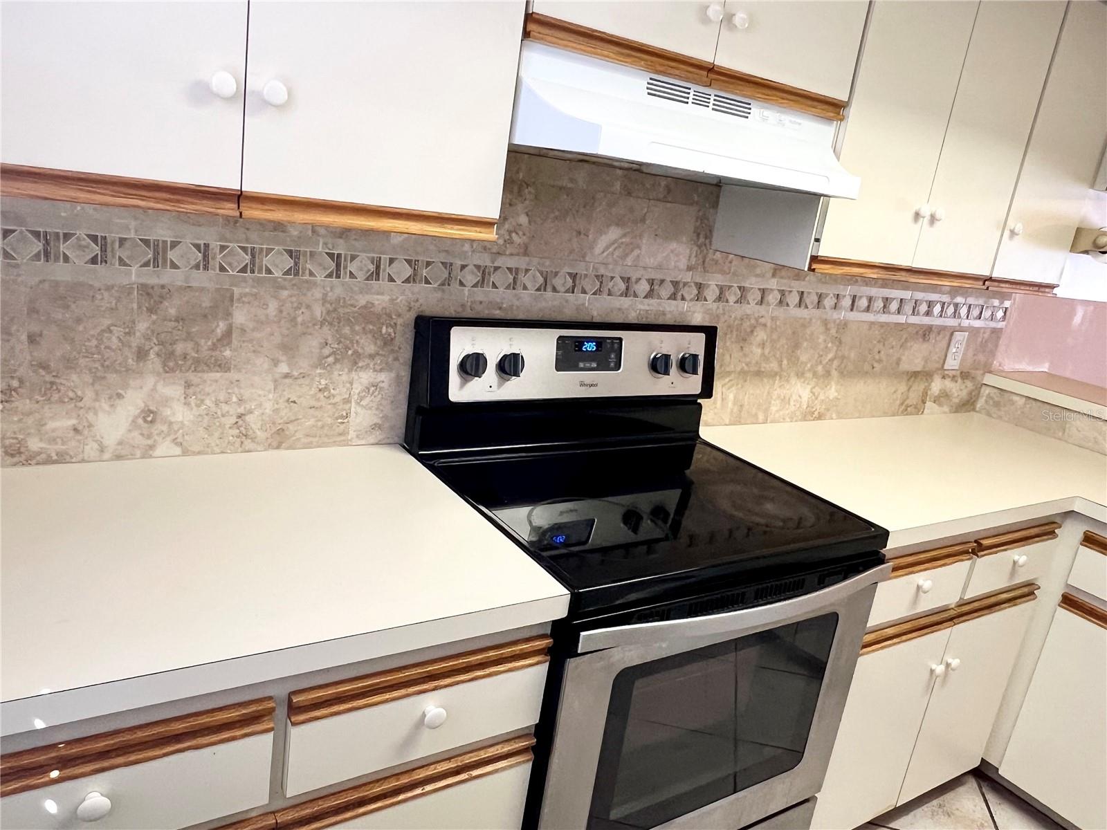 8117 SHELDON SHORES DR, TAMPA, FL, 33615
