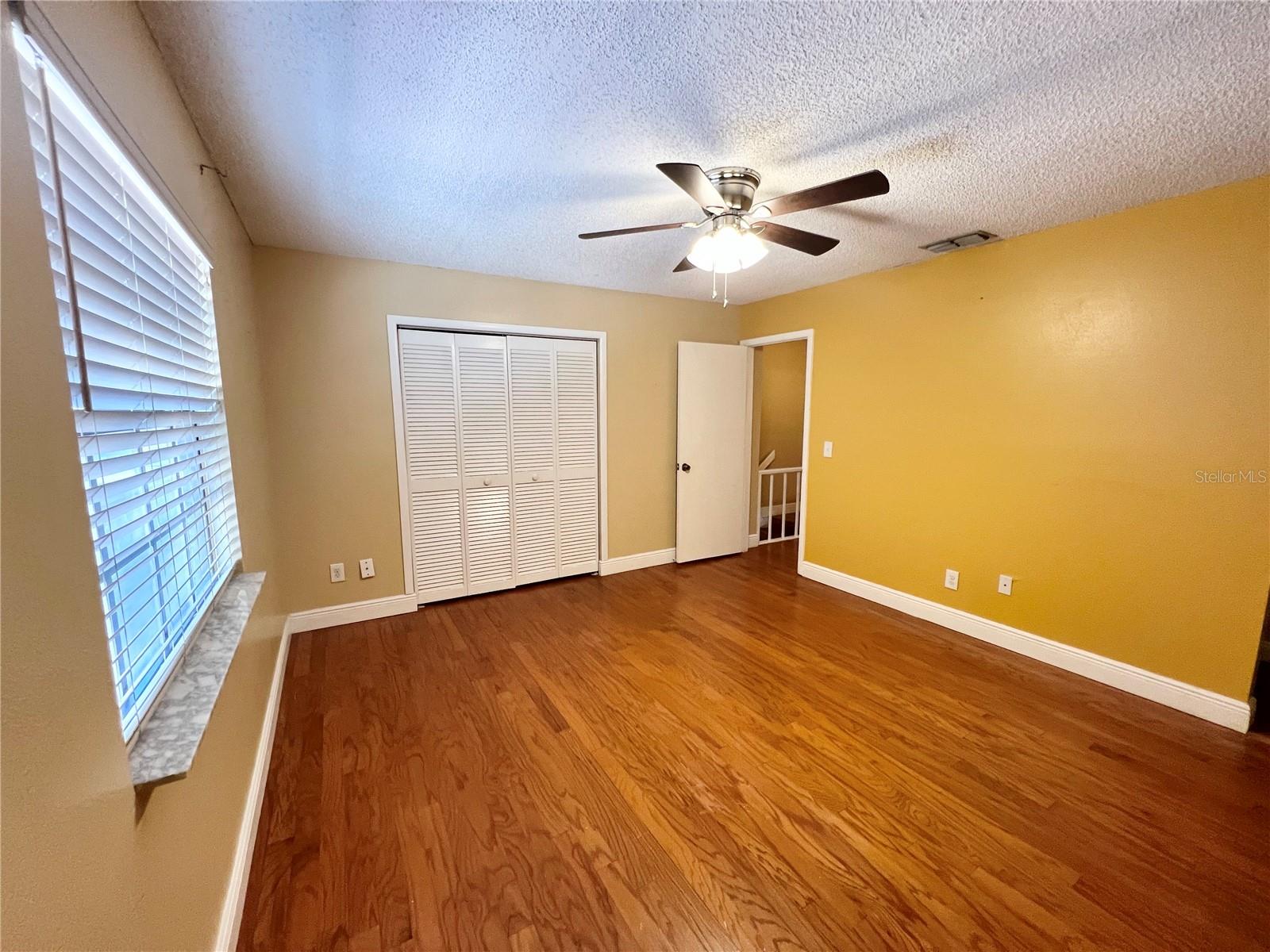 8117 SHELDON SHORES DR, TAMPA, FL, 33615