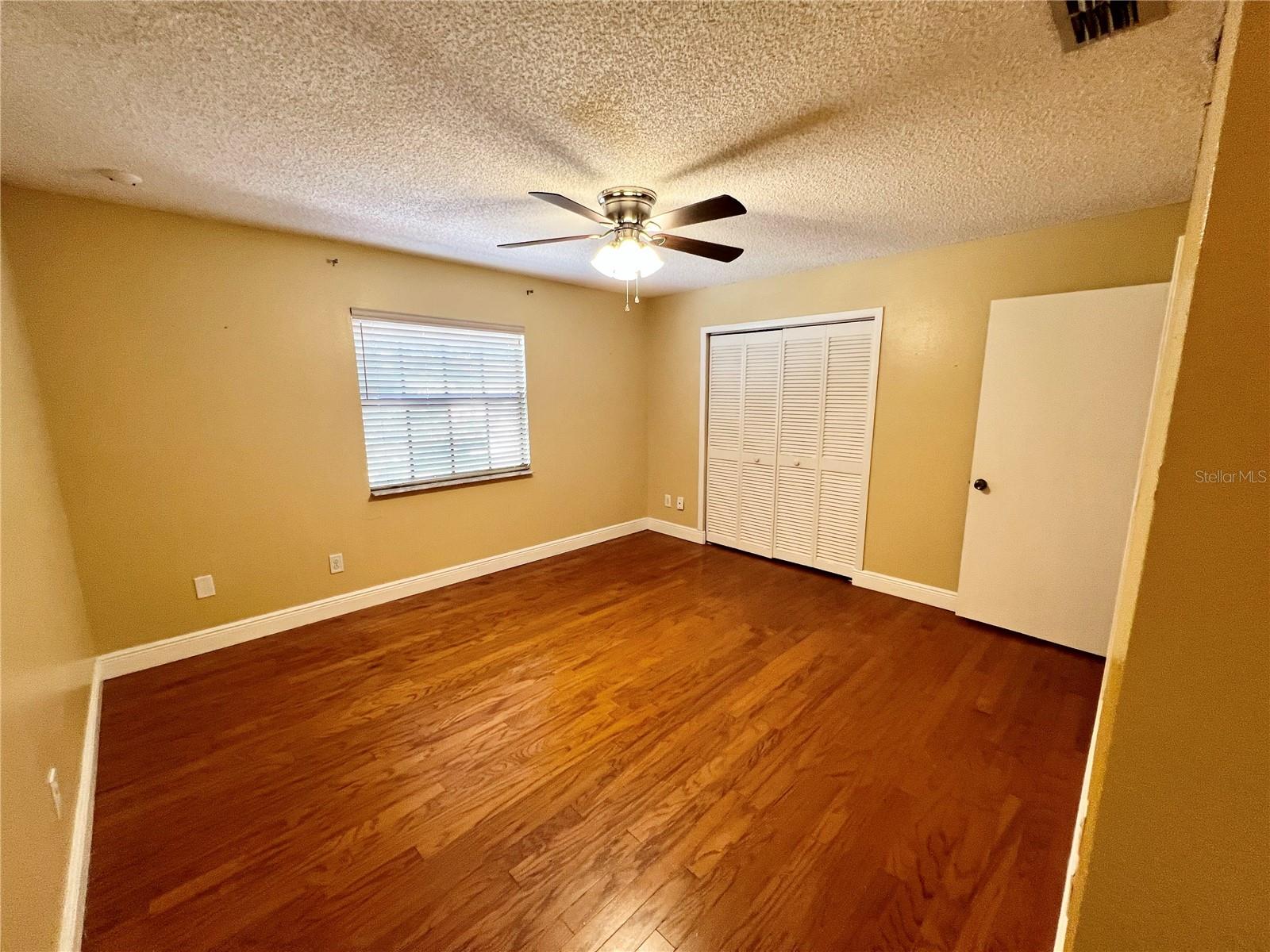 8117 SHELDON SHORES DR, TAMPA, FL, 33615
