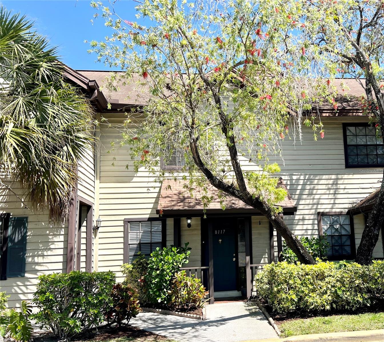8117 SHELDON SHORES DR, TAMPA, FL, 33615
