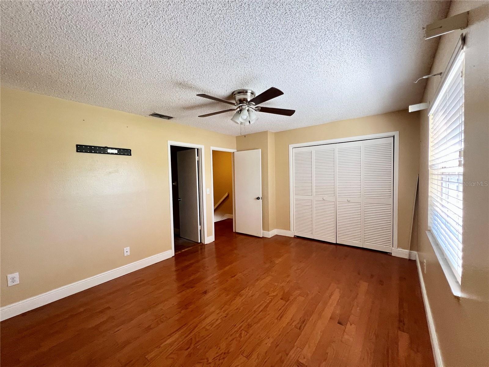 8117 SHELDON SHORES DR, TAMPA, FL, 33615