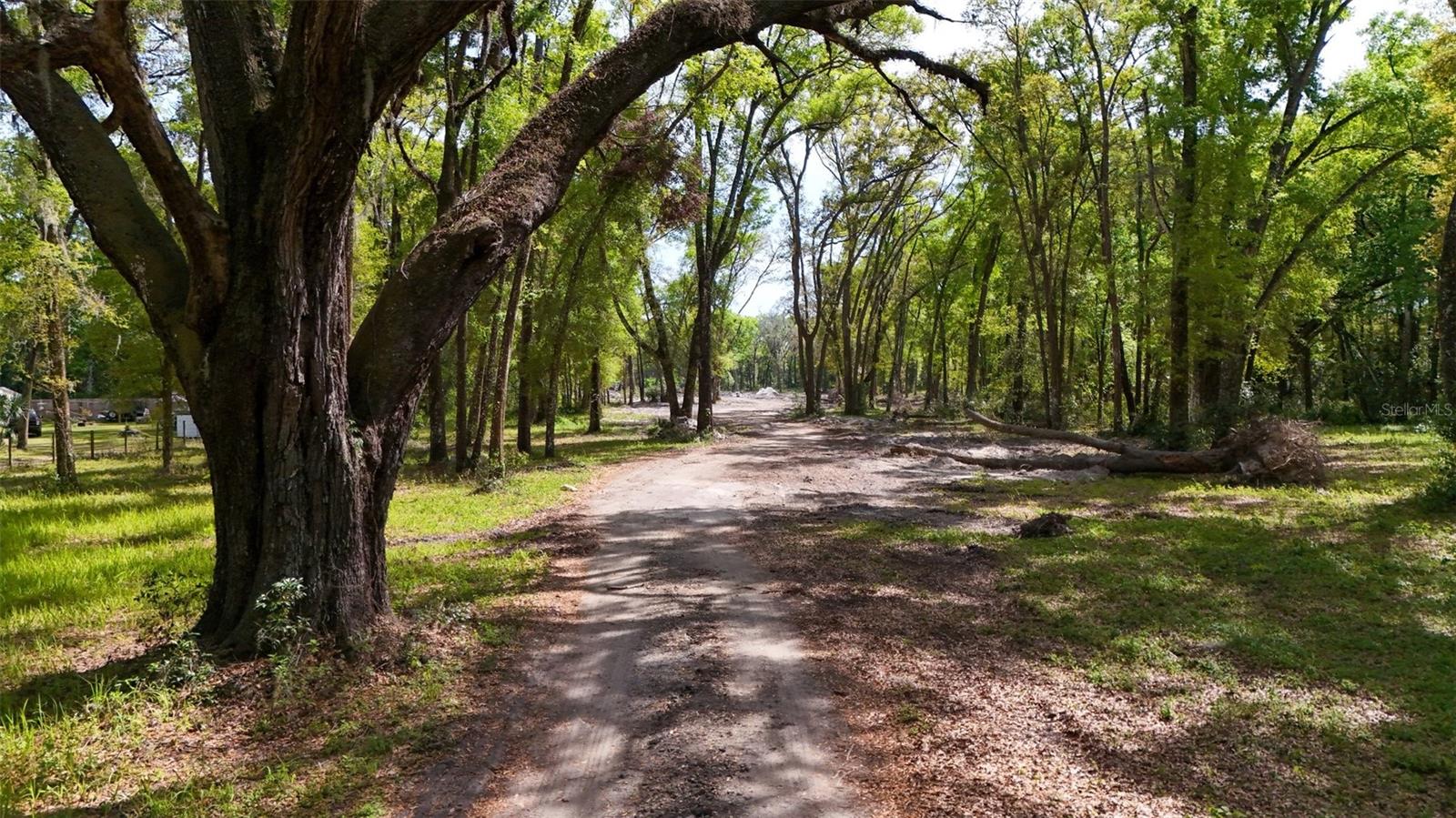 3780 SE 145TH ST, SUMMERFIELD, FL, 34491