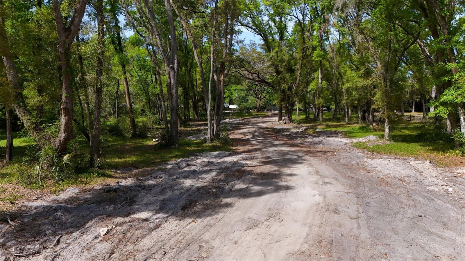 3780 SE 145TH ST, SUMMERFIELD, FL, 34491