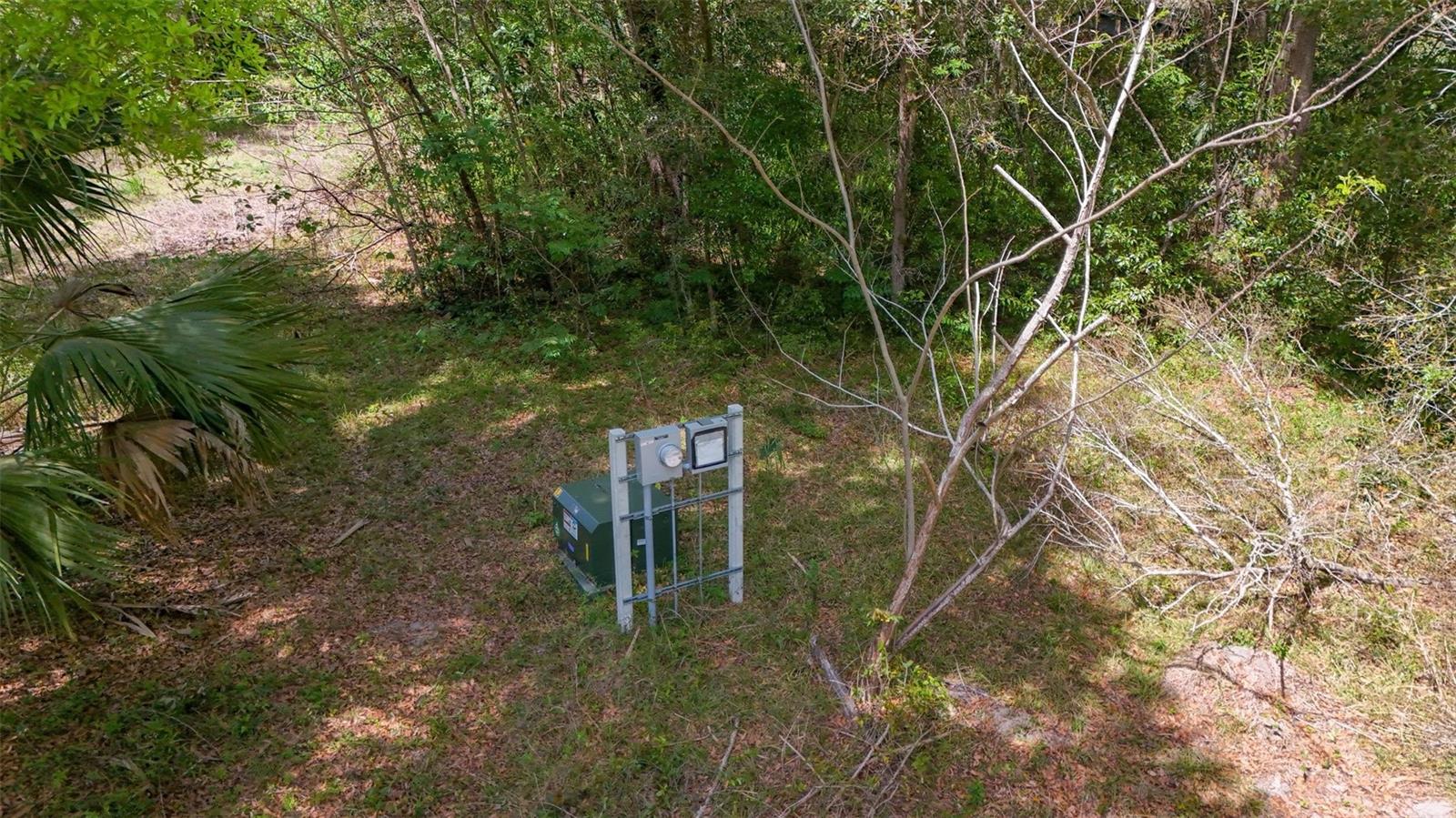 3780 SE 145TH ST, SUMMERFIELD, FL, 34491