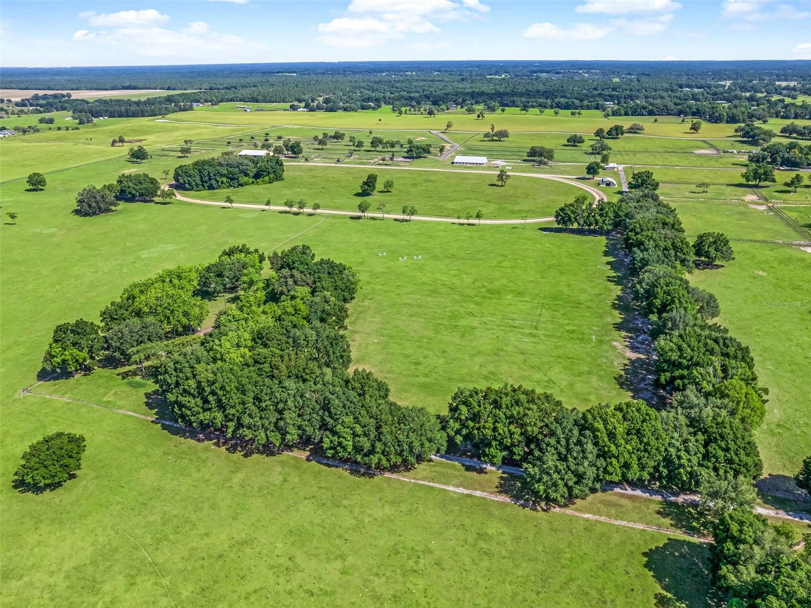 1000 NW 150TH AVE, OCALA, FL, 34482