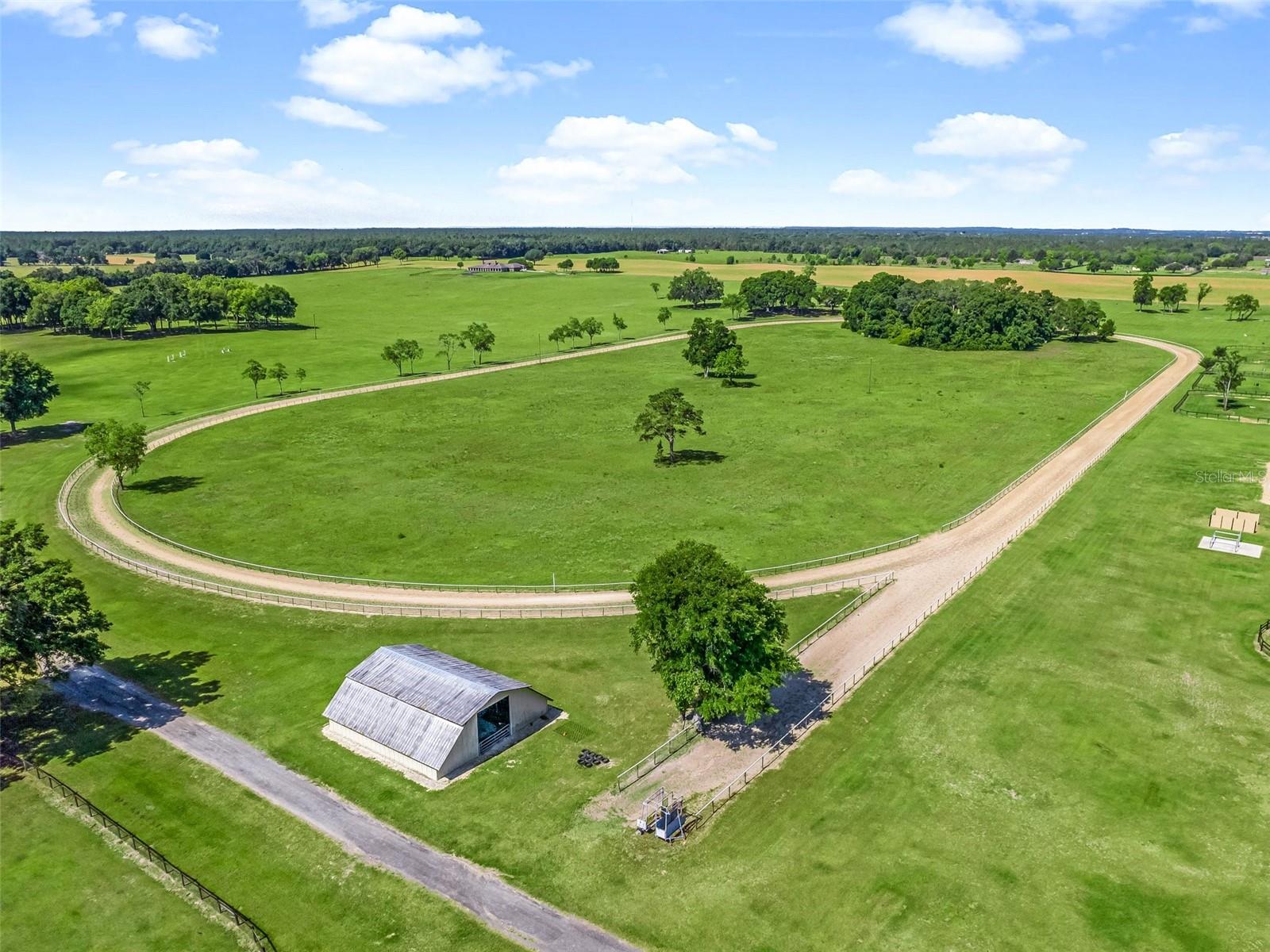 1000 NW 150TH AVE, OCALA, FL, 34482