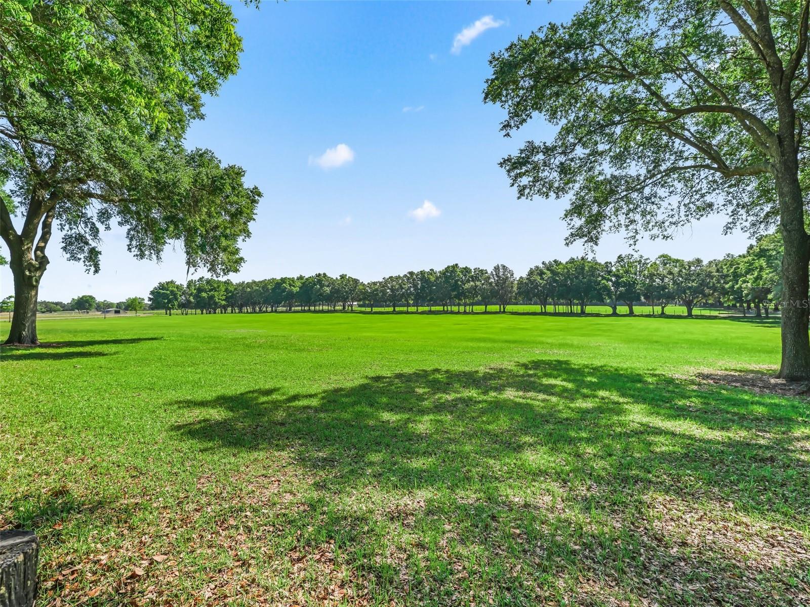 1000 NW 150TH AVE, OCALA, FL, 34482