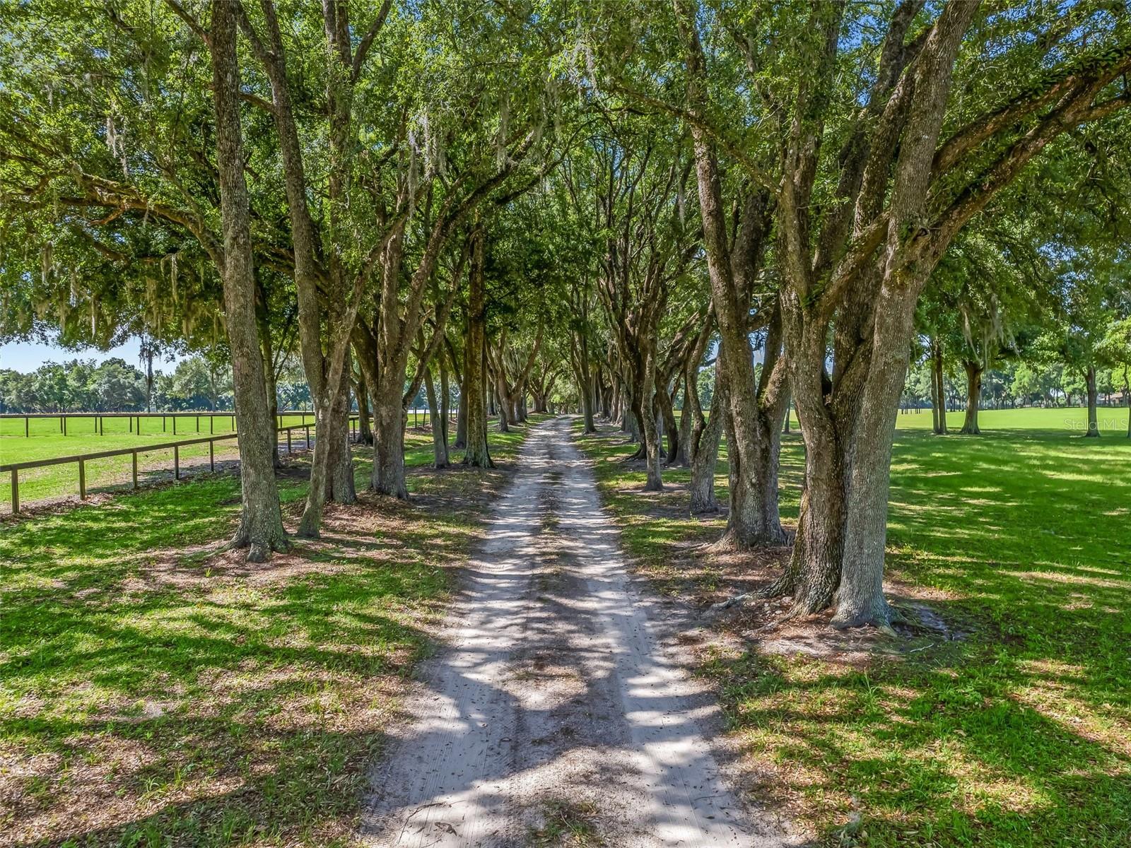 1000 NW 150TH AVE, OCALA, FL, 34482