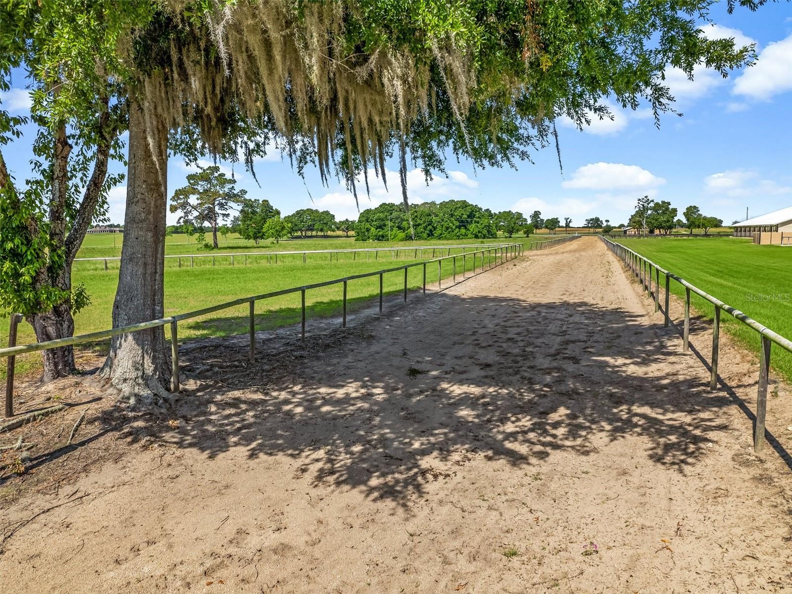 1000 NW 150TH AVE, OCALA, FL, 34482