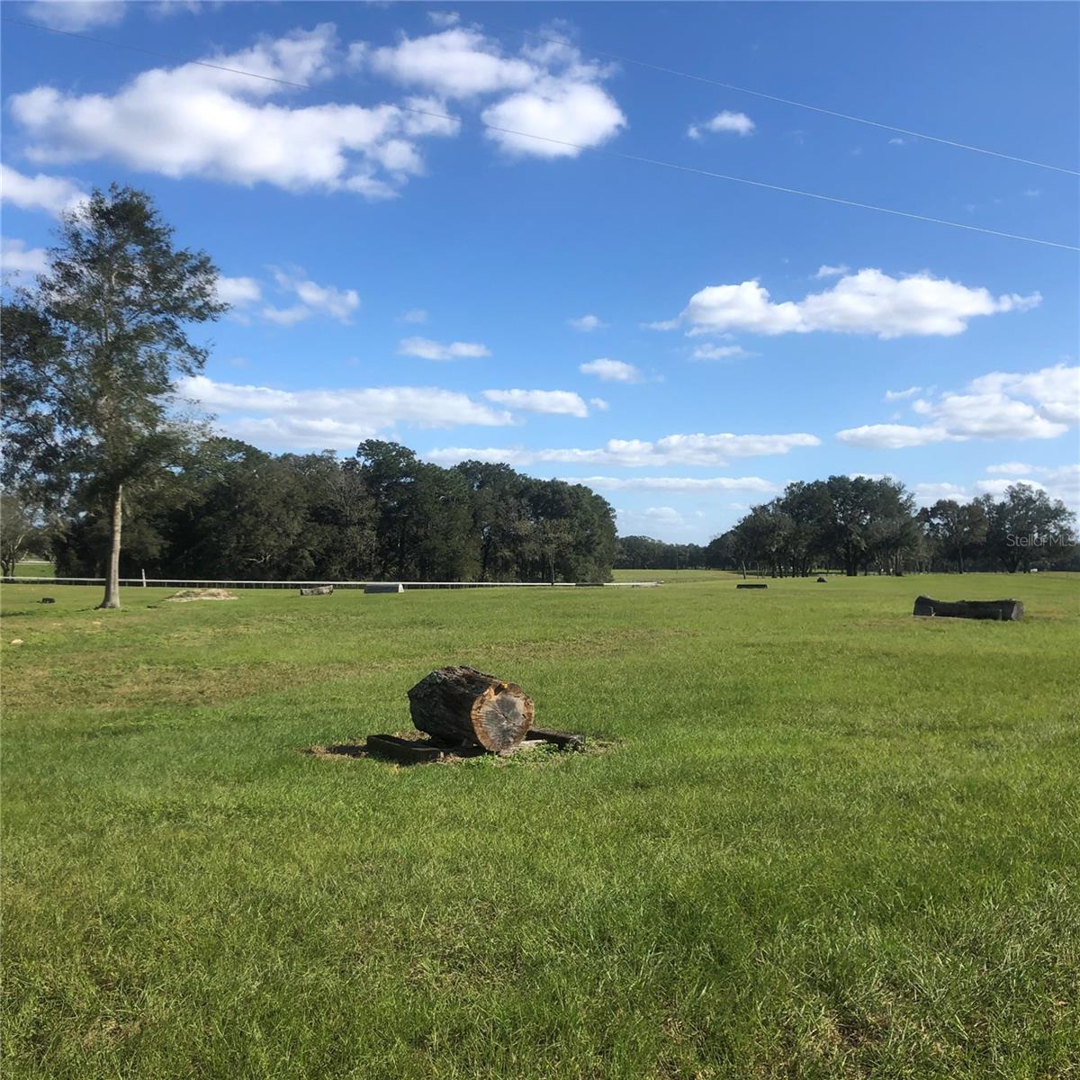 1000 NW 150TH AVE, OCALA, FL, 34482