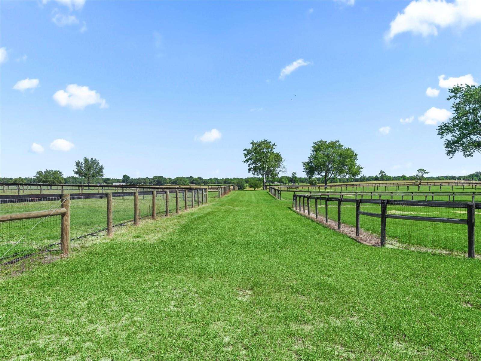 1000 NW 150TH AVE, OCALA, FL, 34482