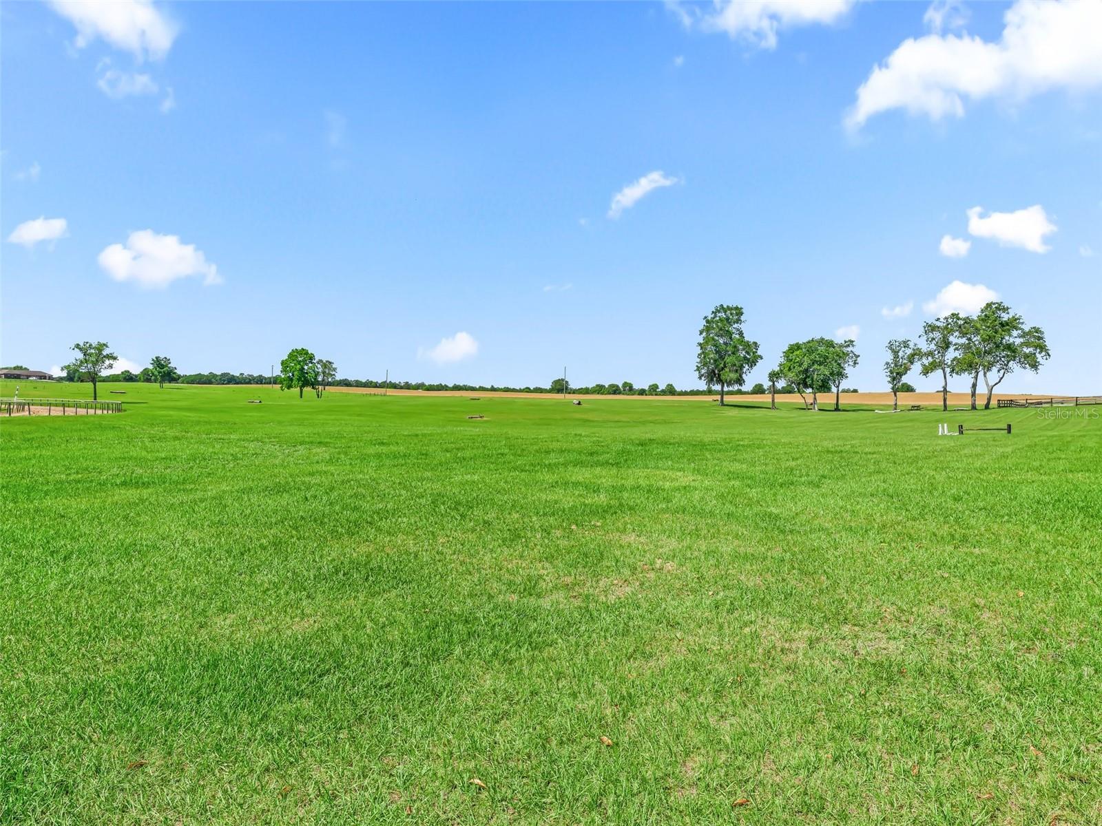 1000 NW 150TH AVE, OCALA, FL, 34482