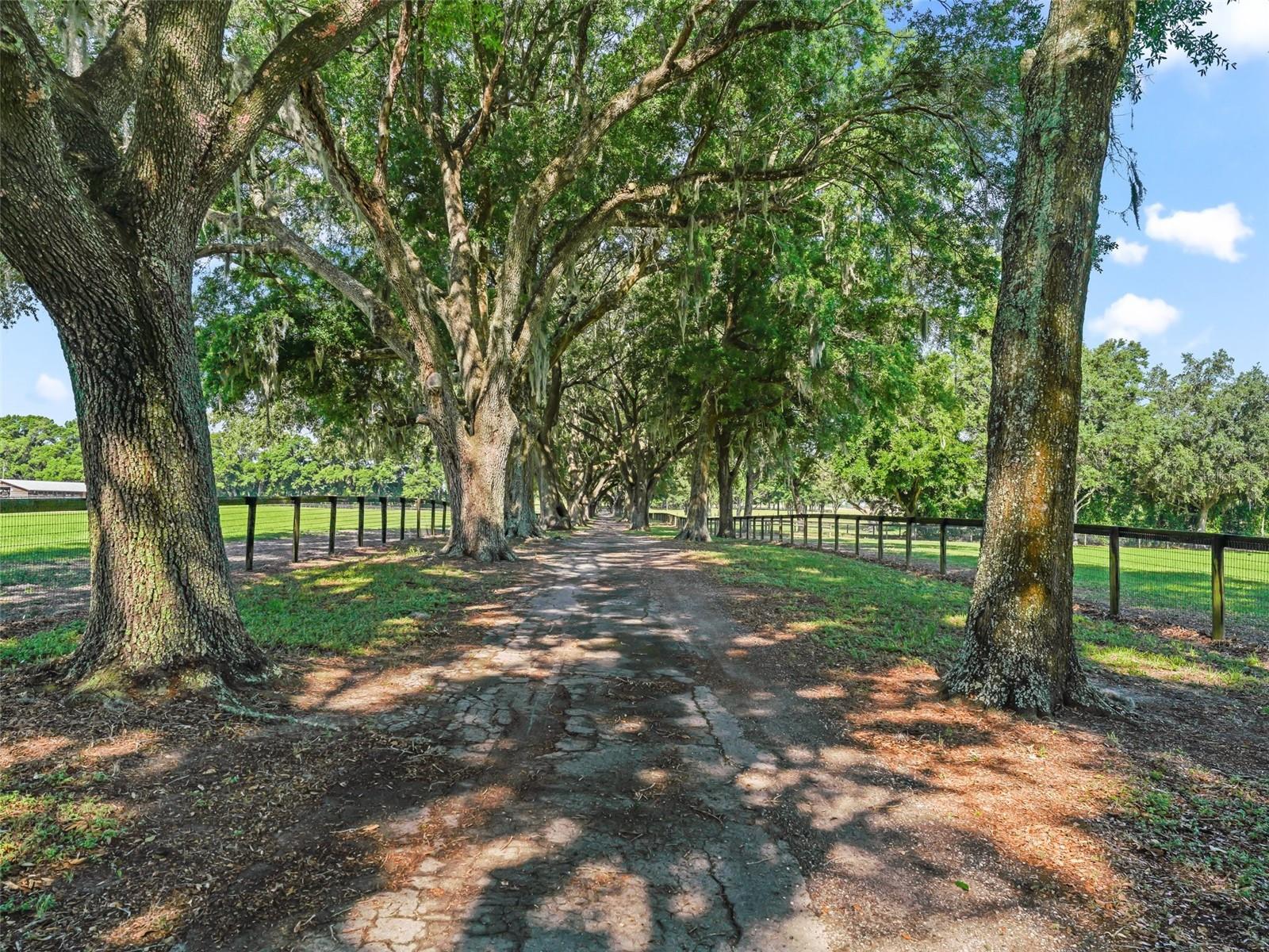 1000 NW 150TH AVE, OCALA, FL, 34482