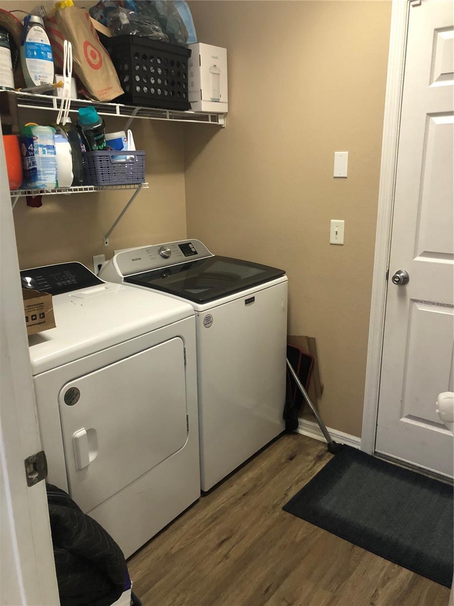 2419 LACERTA DR, ORLANDO, FL, 32828