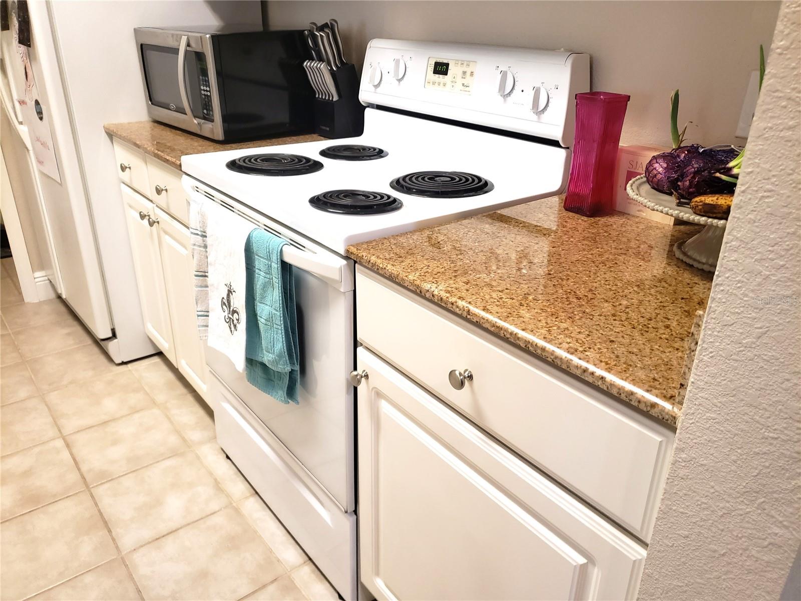 430 SOUTHERN PECAN CIR #201, WINTER GARDEN, FL, 34787