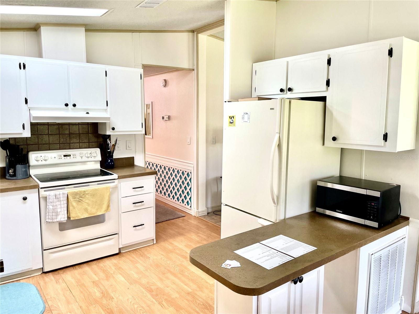 1712 W SCHWARTZ BLVD, THE VILLAGES, FL, 32159