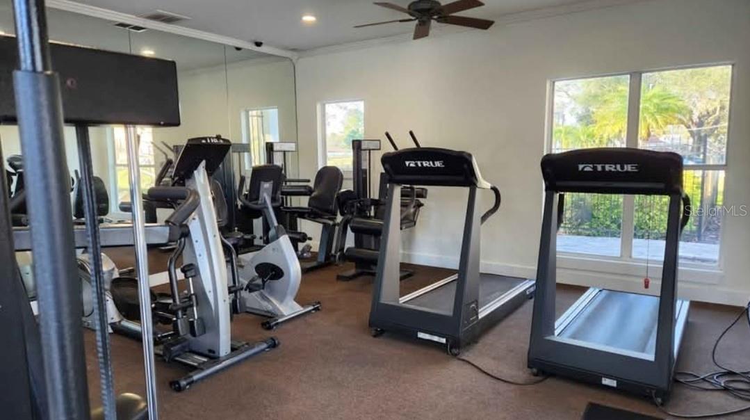 10110 WINSFORD OAK BLVD #621, TAMPA, FL, 33624