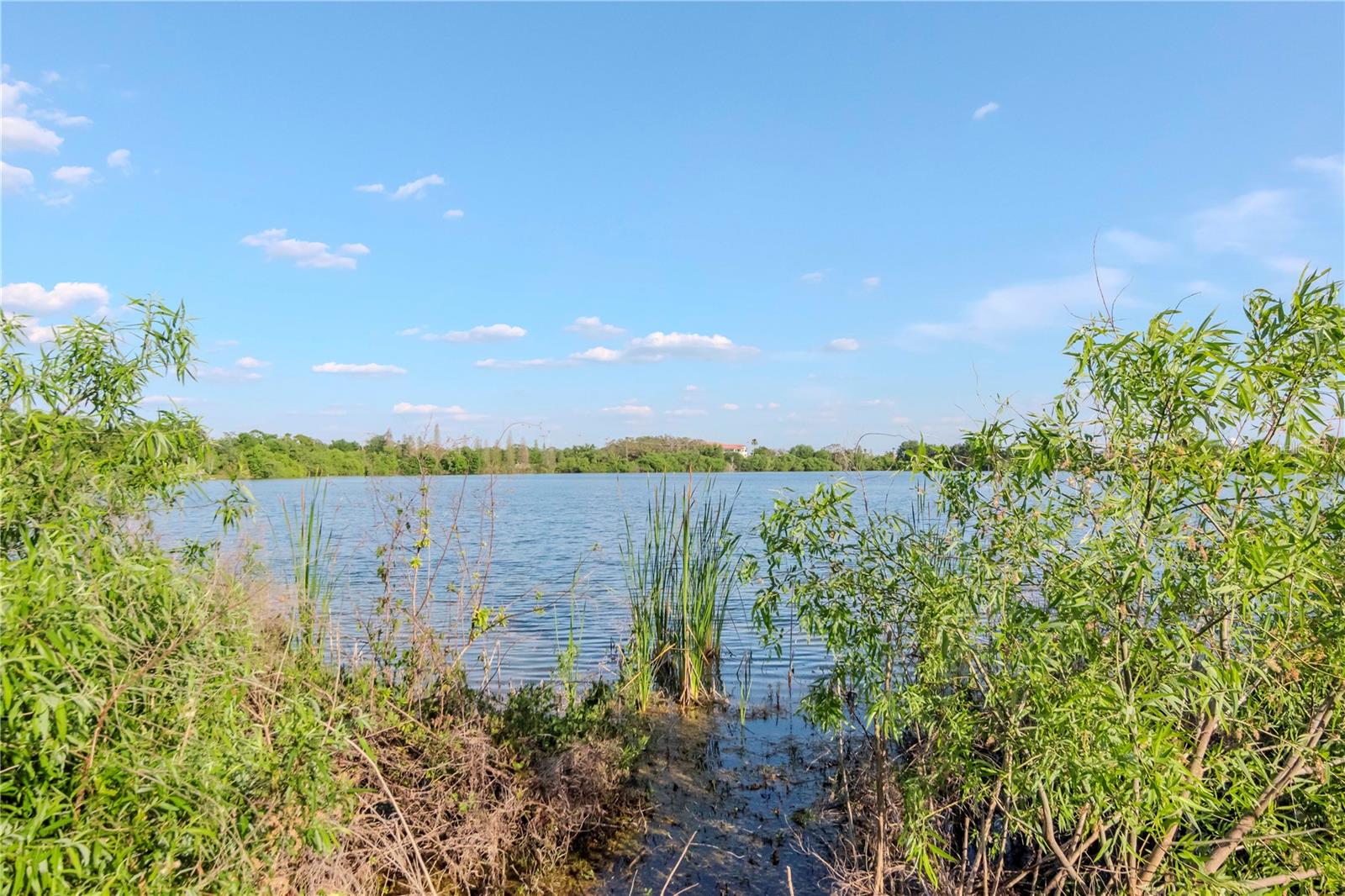 2837 BAYSHORE TRAILS DR, TAMPA, FL, 33611