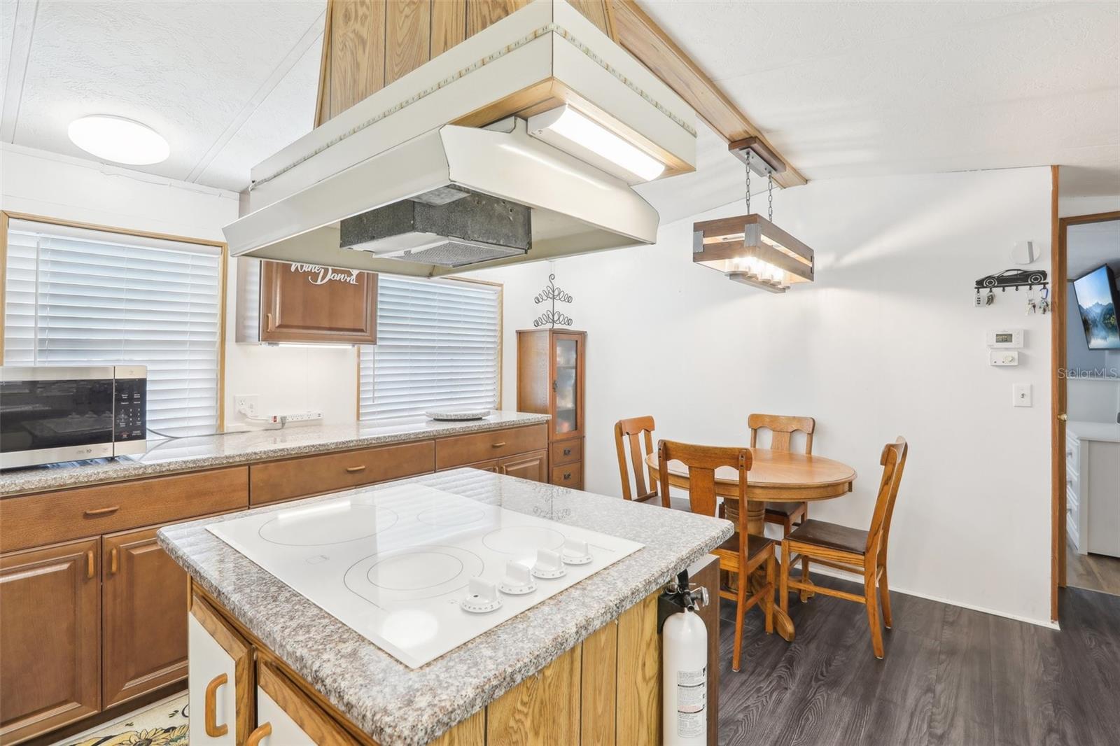 4101 JOYFUL LN, ZEPHYRHILLS, FL, 33541