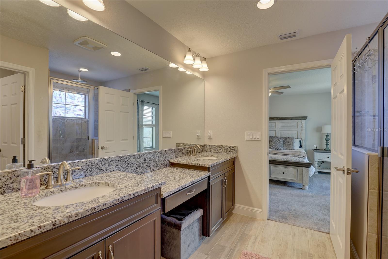 12421 TRIPLE CREEK BLVD, RIVERVIEW, FL, 33579