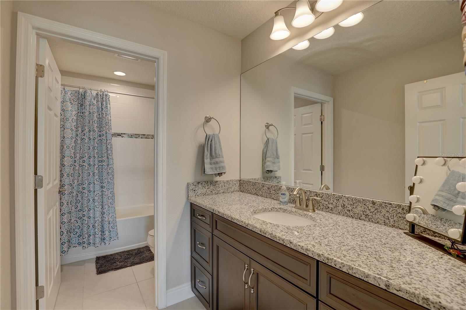 12421 TRIPLE CREEK BLVD, RIVERVIEW, FL, 33579