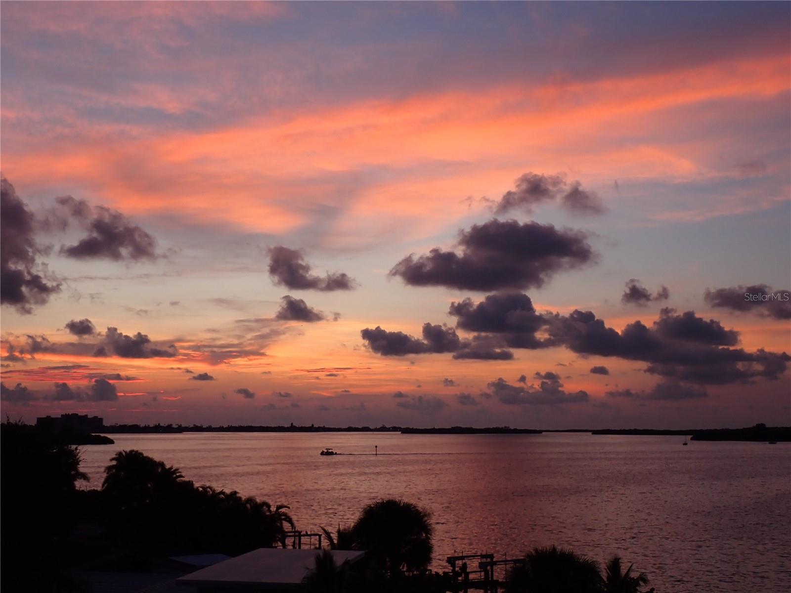 1860 N FORT HARRISON AVE #301, CLEARWATER, FL, 33755