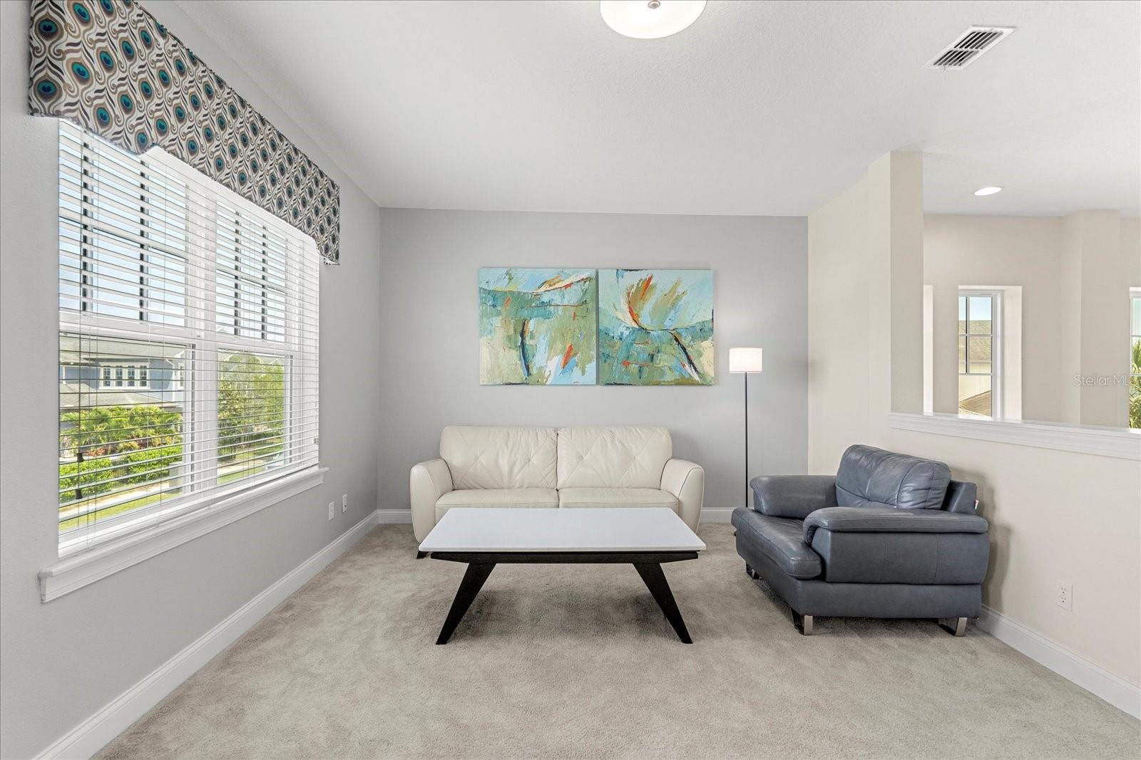 8896 REYMONT ST, ORLANDO, FL, 32827